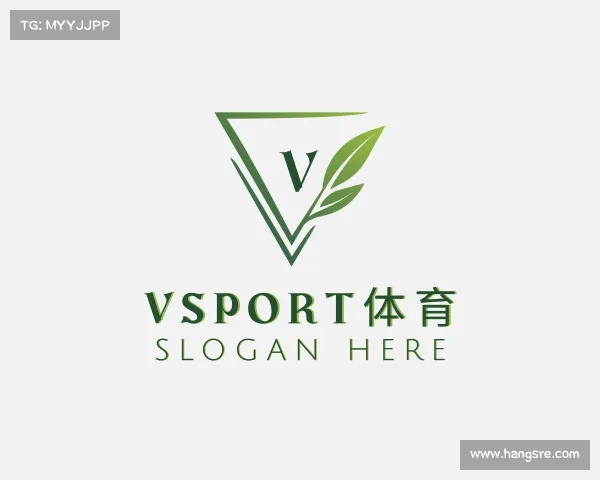 介绍VSport体育